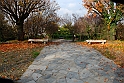 Parco Europa Autunno_016